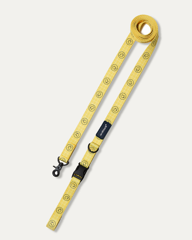 Smile Edition . Yellow . Harness & Leash Set