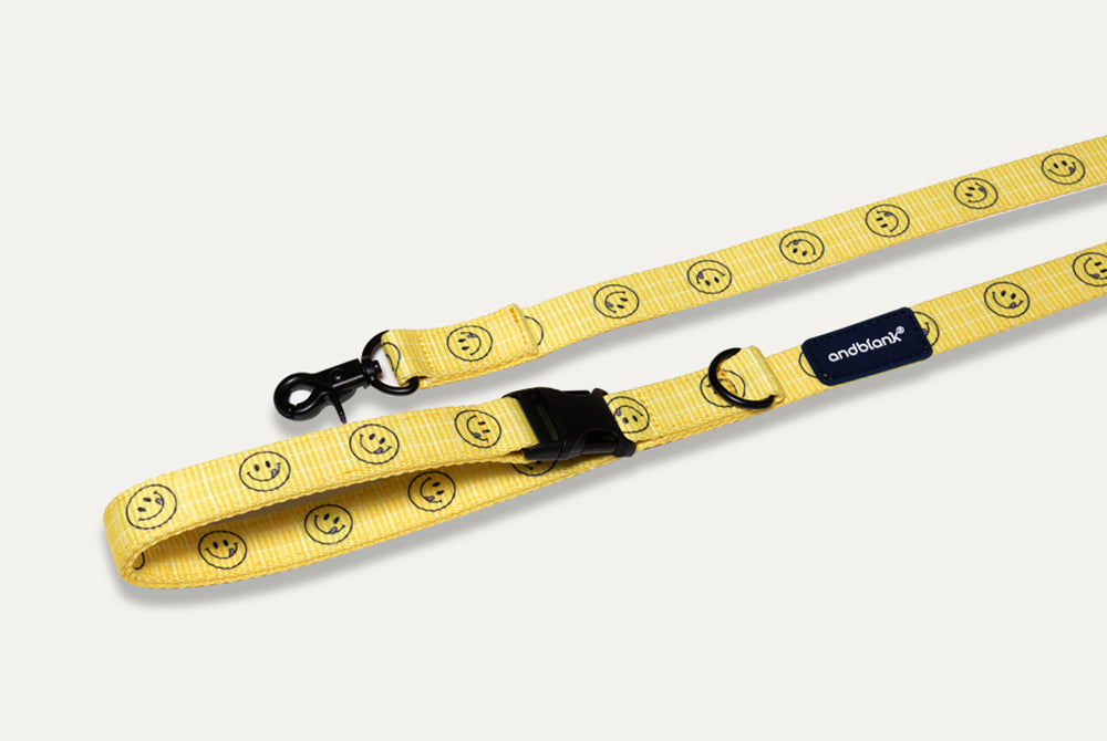 Smile Edition . Yellow . Harness & Leash Set
