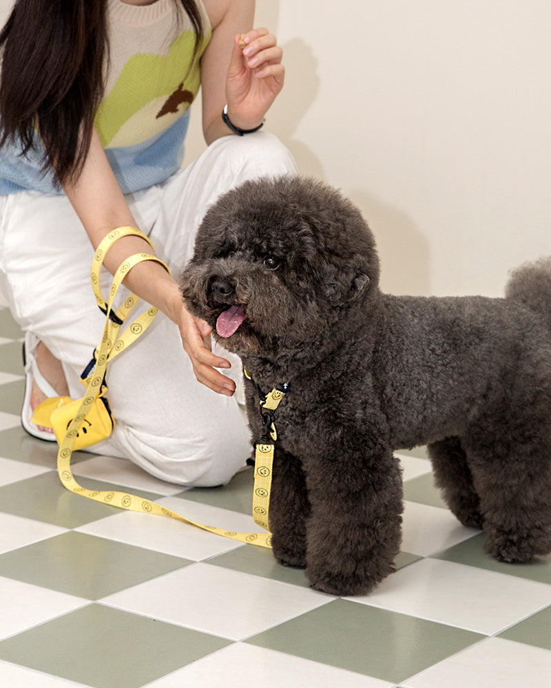 Smile Edition . Yellow . Collar & Leash Set