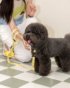Smile Edition . Yellow . Collar & Leash Set