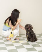 Smile Edition . Yellow . Collar & Leash Set