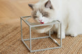 Elevated modern design feeding table for cats_pets so good