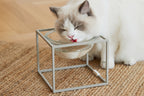 Elevated modern design feeding table for cats_pets so good