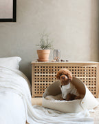 Marron felt pet bed with microfiber cotton cushion and sculptural modern-classic design – Petssogood