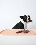 Oreo non-slip pet feeding mat with modern design to keep bowls in place and floors clean – Petssogood