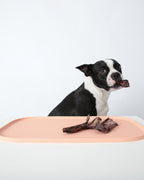 Oreo non-slip pet feeding mat with modern design to keep bowls in place and floors clean – Petssogood