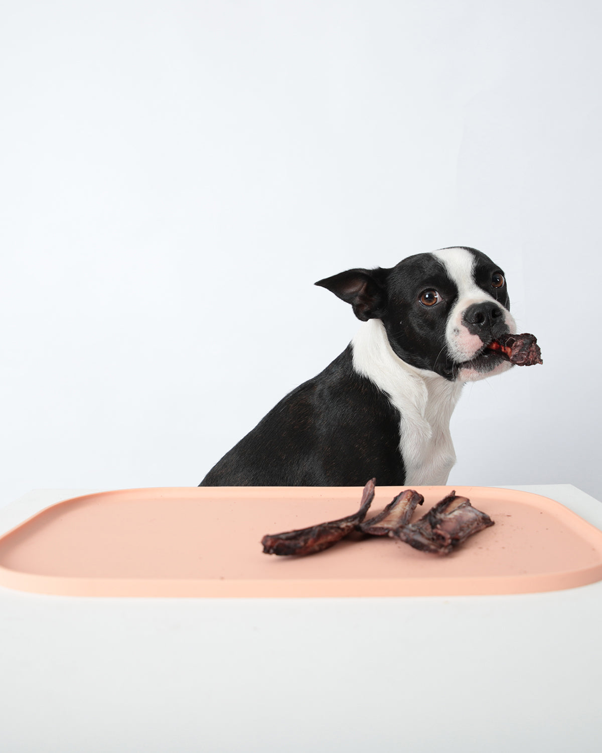 Oreo non-slip pet feeding mat with modern design to keep bowls in place and floors clean – Petssogood